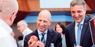 Export im Rampenlicht