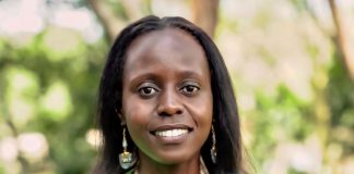 Einblicke in innovative Geschäftsmodelle rund um den Globus