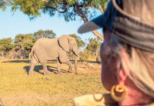 Artenschutz: Wertvolle Wildtiere