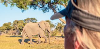 Artenschutz: Wertvolle Wildtiere