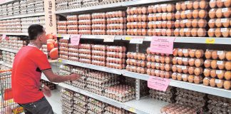 Ovotherm: Champion in der Eierwelt