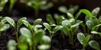 corporAID Peer-Learning Workshop Synergie im Fokus: Wirksame Multi-Stakeholder-Partnerschaften für Nachhaltigkeit