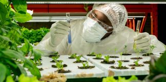 corporAID Multilogue Innovating for Africa’s Food Future: Start-ups at the Forefront of Food Security