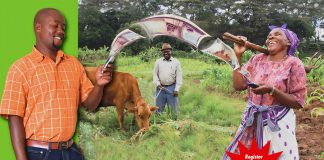 Mobile Money: Finanzrevolution aus Afrika