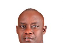 Sehnsucht nach Wurzeln